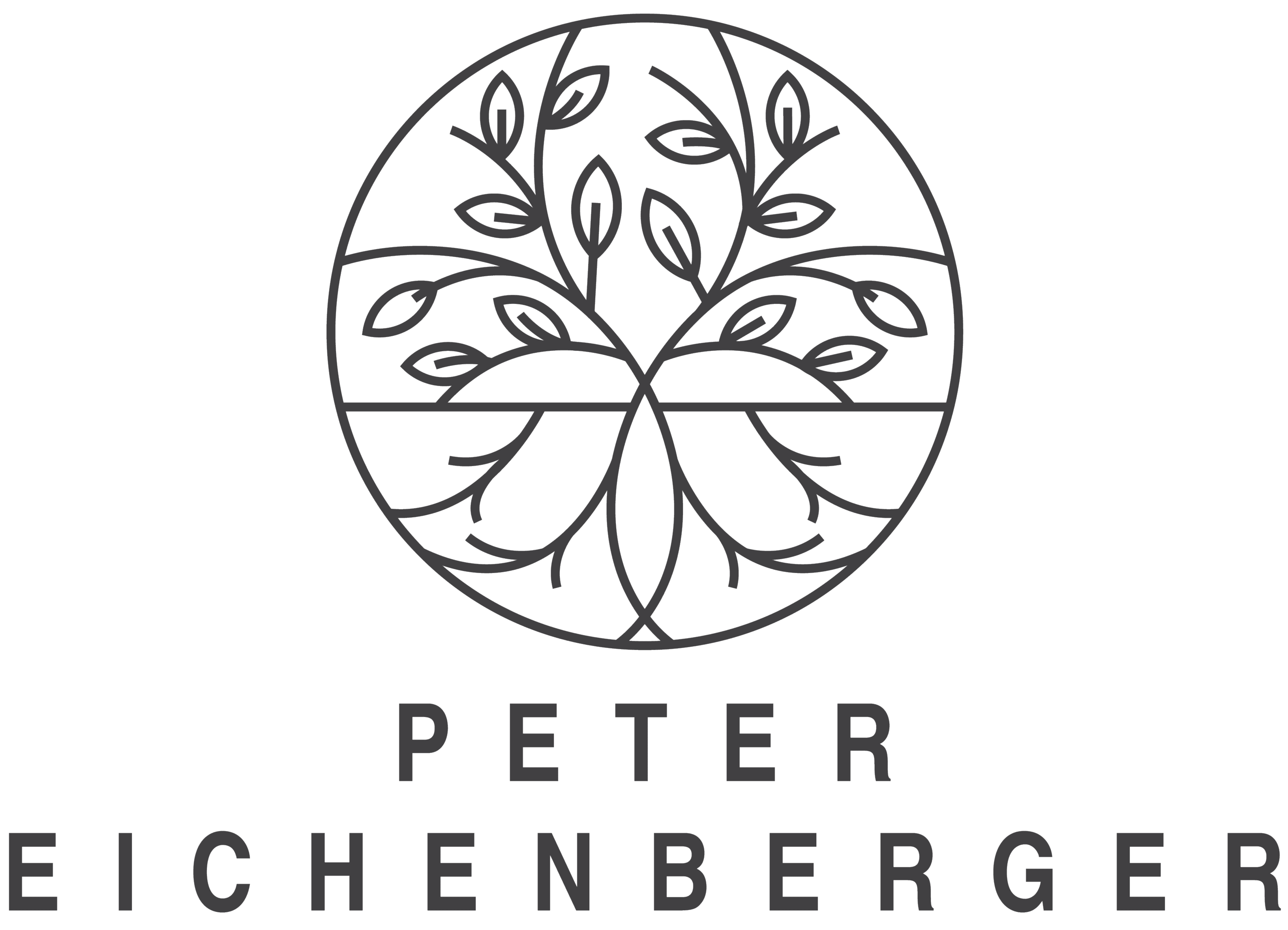 peter-eichenberger.ch